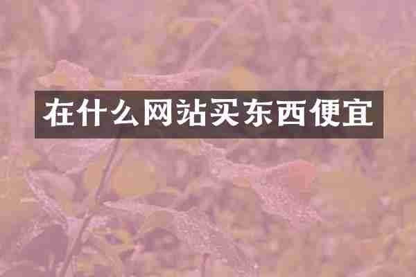 在什么网站买东西便宜