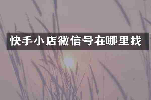 快手小店微信号在哪里找