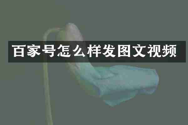 百家号怎么样发图文视频