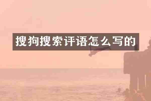 搜狗搜索评语怎么写的