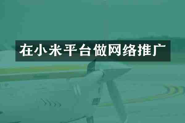 在小米平台做网络推广