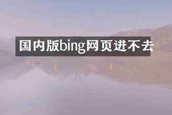 国内版bing网页进不去