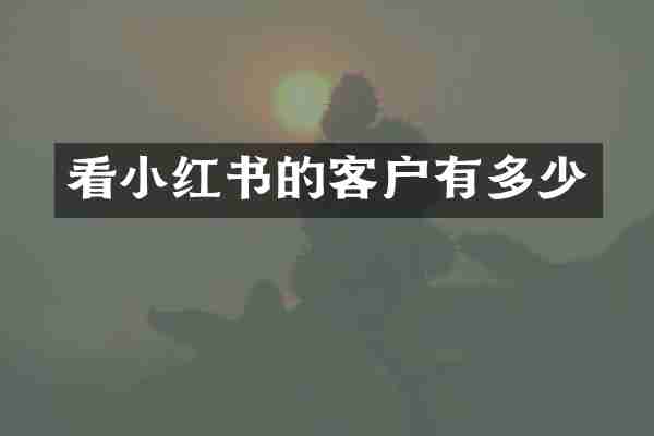 看小红书的客户有多少