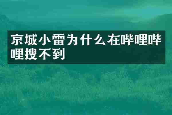 京城小雷为什么在哔哩哔哩搜不到