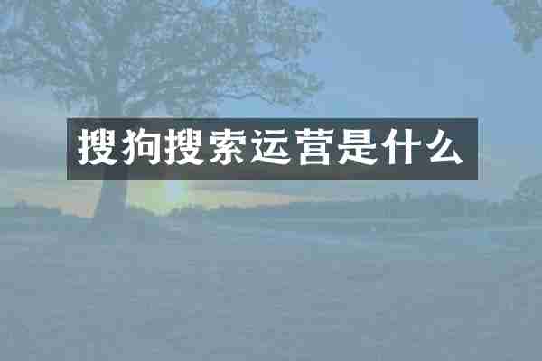 搜狗搜索运营是什么