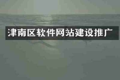 津南区软件网站建设推广