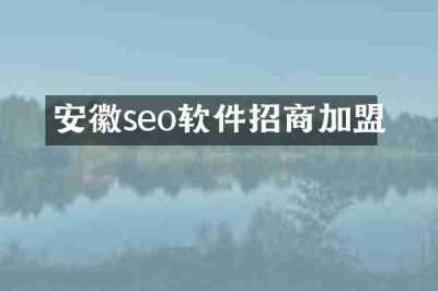 安徽seo软件招商加盟