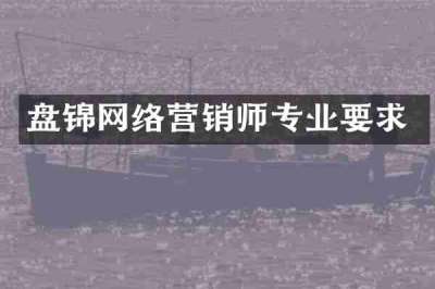 盘锦网络营销师专业要求