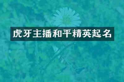 虎牙主播和平精英起名