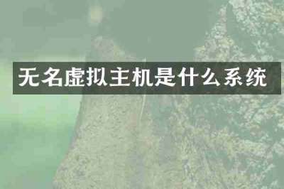 无名虚拟主机是什么系统