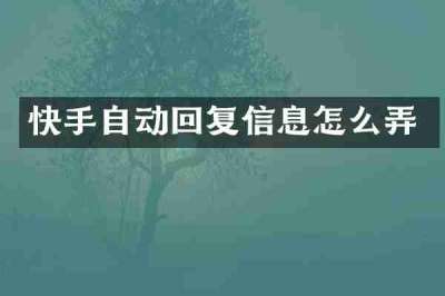快手自动回复信息怎么弄