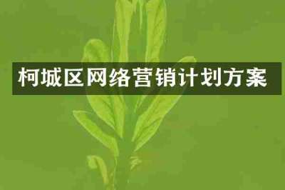 柯城区网络营销计划方案