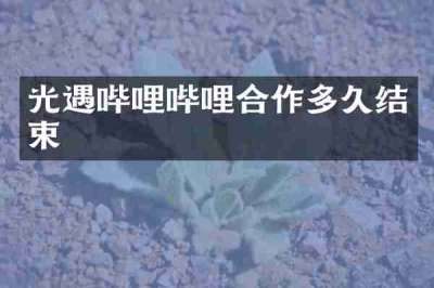 光遇哔哩哔哩合作多久结束
