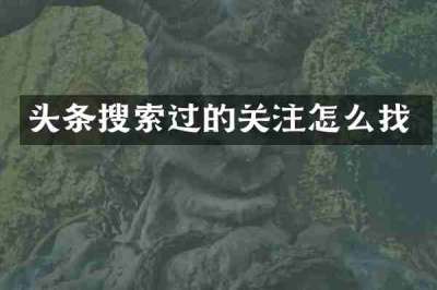 头条搜索过的关注怎么找