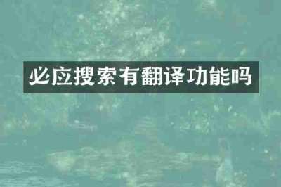 必应搜索有翻译功能吗