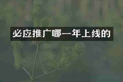必应推广哪一年上线的