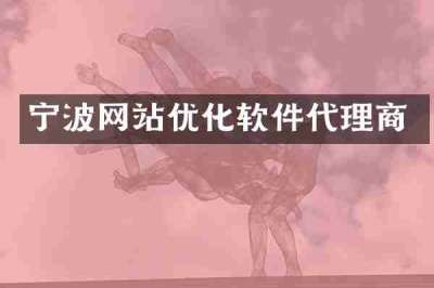 宁波网站优化软件代理商