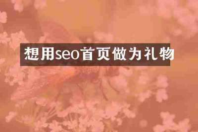 想用seo首页做为礼物