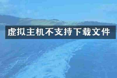 虚拟主机不支持下载文件