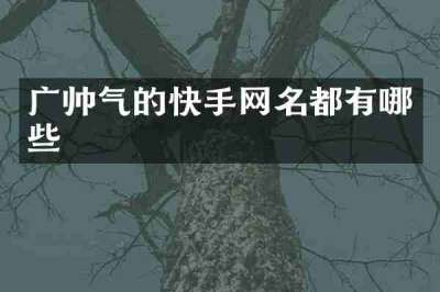 广帅气的快手网名都有哪些