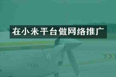 在小米平台做网络推广