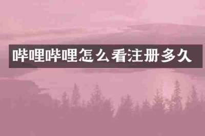 哔哩哔哩怎么看注册多久