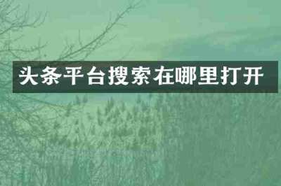 头条平台搜索在哪里打开