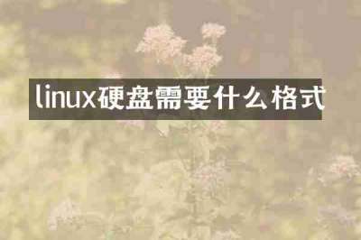 linux硬盘需要什么格式