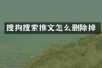 搜狗搜索推文怎么删除掉