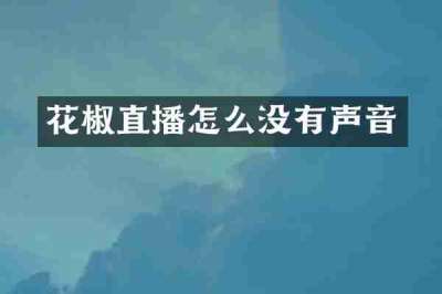 花椒直播怎么没有声音