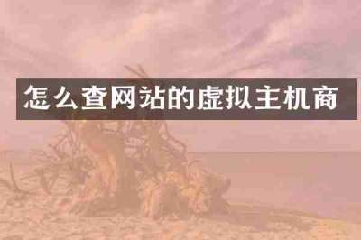 怎么查网站的虚拟主机商