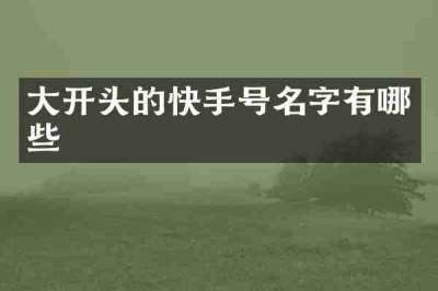 大开头的快手号名字有哪些