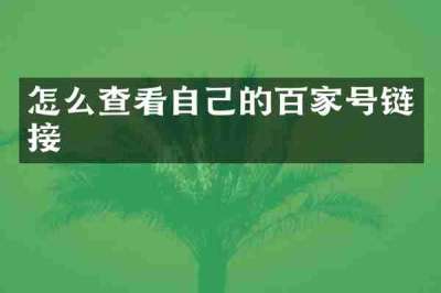 怎么查看自己的百家号链接