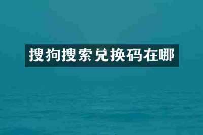 搜狗搜索兑换码在哪