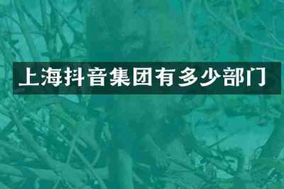 上海抖音集团有多少部门