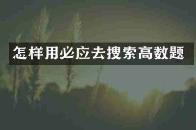 怎样用必应去搜索高数题