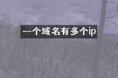 一个域名有多个ip
