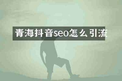 青海抖音seo怎么引流