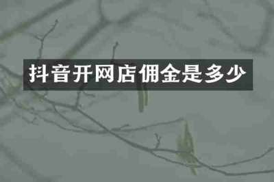 抖音开网店佣金是多少