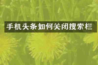 手机头条如何关闭搜索栏