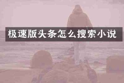 极速版头条怎么搜索小说