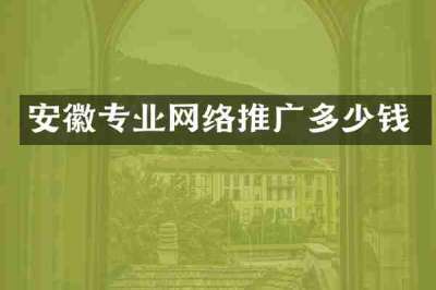 安徽专业网络推广多少钱