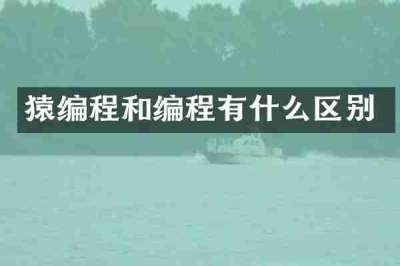 猿编程和编程有什么区别