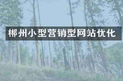 郴州小型营销型网站优化