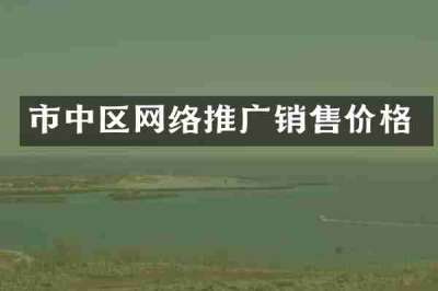 市中区网络推广销售价格