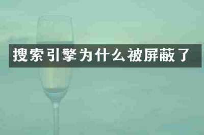 搜索引擎为什么被屏蔽了