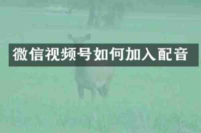 微信视频号如何加入配音
