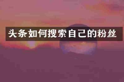 头条如何搜索自己的粉丝