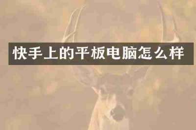 快手上的平板电脑怎么样