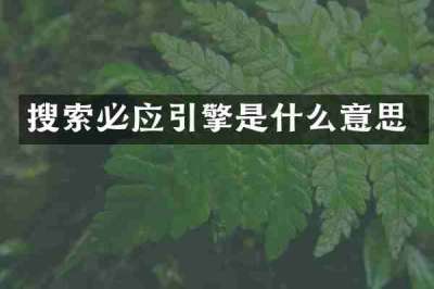 搜索必应引擎是什么意思
